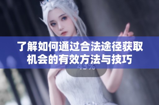 了解如何通过合法途径获取机会的有效方法与技巧