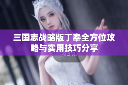 三国志战略版丁奉全方位攻略与实用技巧分享