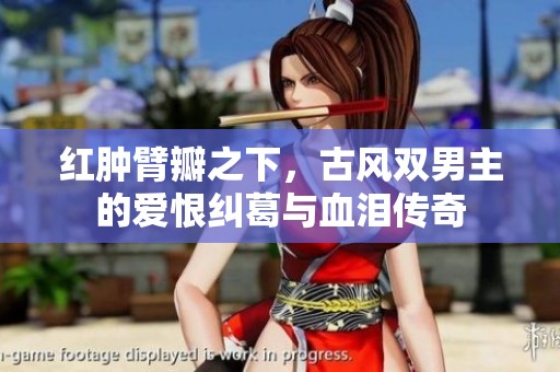 红肿臂瓣之下，古风双男主的爱恨纠葛与血泪传奇