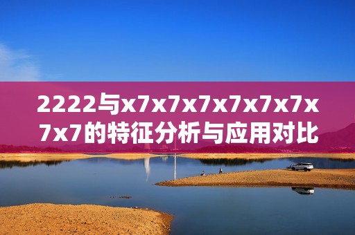 2222与x7x7x7x7x7x7x7x7的特征分析与应用对比