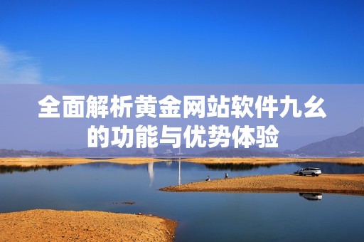 全面解析黄金网站软件九幺的功能与优势体验