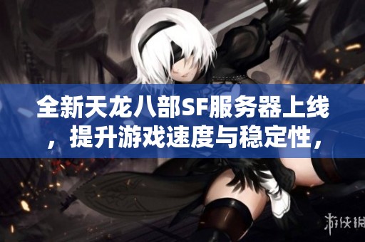 全新天龙八部SF服务器上线，提升游戏速度与稳定性，极力推荐！