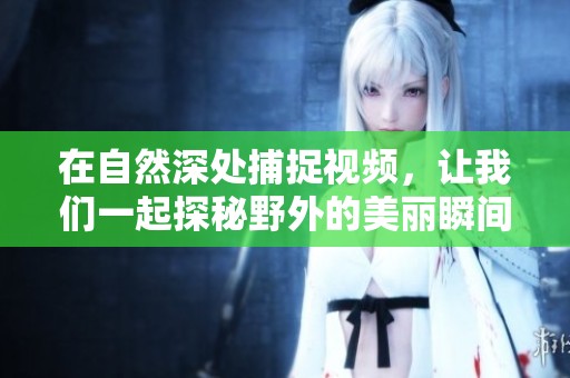 在自然深处捕捉视频，让我们一起探秘野外的美丽瞬间