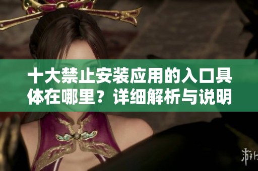 十大禁止安装应用的入口具体在哪里？详细解析与说明。