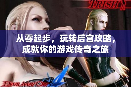 从零起步，玩转后宫攻略，成就你的游戏传奇之旅