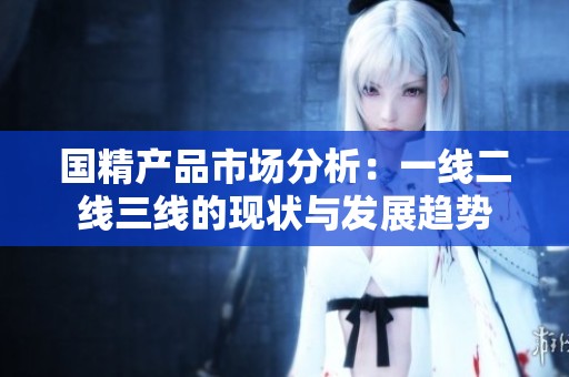 国精产品市场分析：一线二线三线的现状与发展趋势