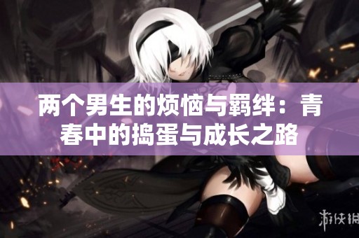 两个男生的烦恼与羁绊：青春中的捣蛋与成长之路