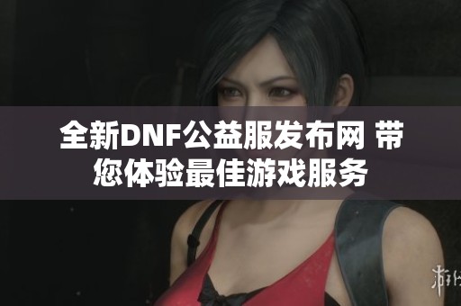 全新DNF公益服发布网 带您体验最佳游戏服务