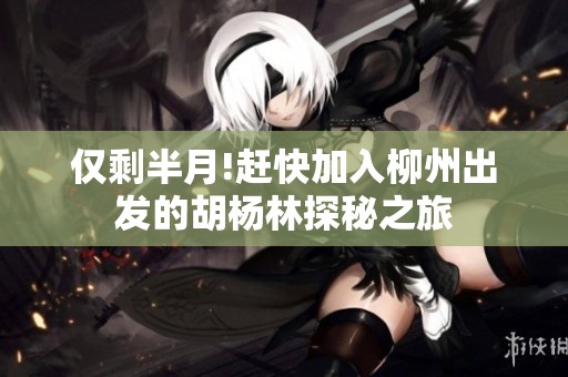 仅剩半月!赶快加入柳州出发的胡杨林探秘之旅