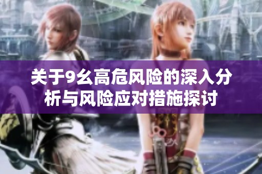关于9幺高危风险的深入分析与风险应对措施探讨