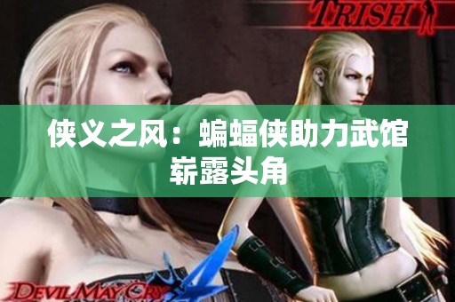 侠义之风：蝙蝠侠助力武馆崭露头角