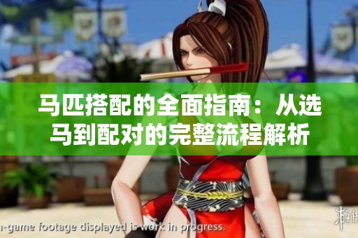 马匹搭配的全面指南：从选马到配对的完整流程解析