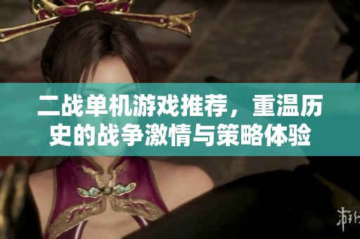 二战单机游戏推荐，重温历史的战争激情与策略体验
