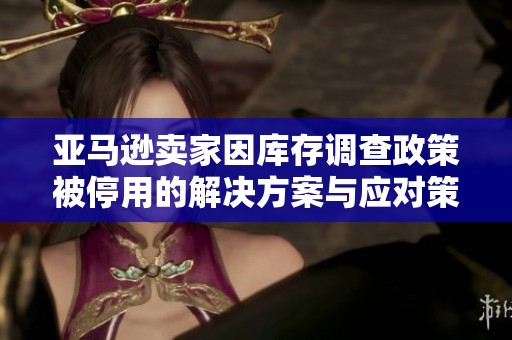 亚马逊卖家因库存调查政策被停用的解决方案与应对策略