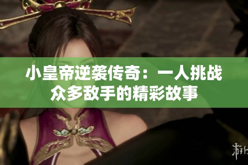 小皇帝逆袭传奇：一人挑战众多敌手的精彩故事