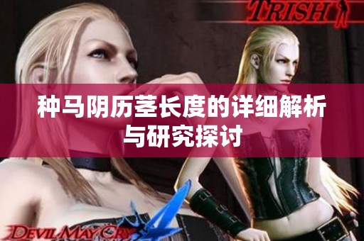 种马阴历茎长度的详细解析与研究探讨