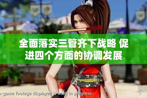 全面落实三管齐下战略 促进四个方面的协调发展
