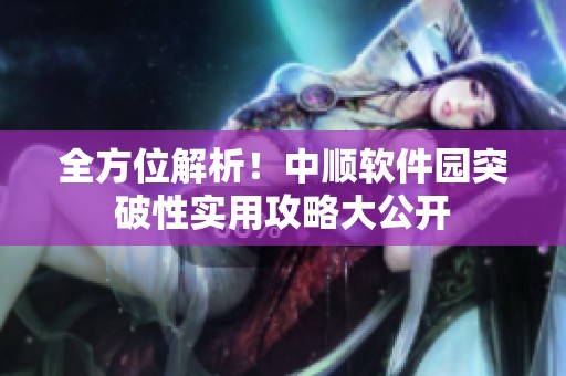 全方位解析！中顺软件园突破性实用攻略大公开