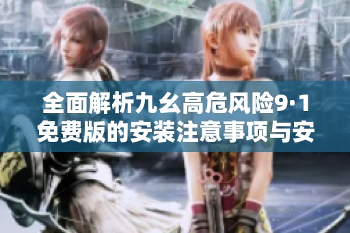 全面解析九幺高危风险9·1免费版的安装注意事项与安全策略