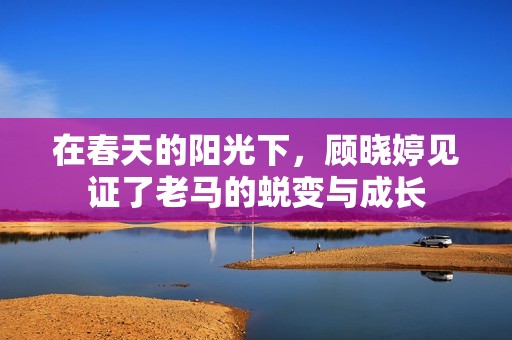 在春天的阳光下，顾晓婷见证了老马的蜕变与成长