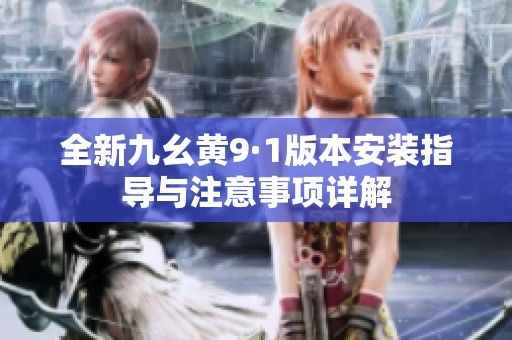 全新九幺黄9·1版本安装指导与注意事项详解