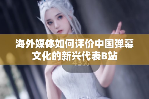 海外媒体如何评价中国弹幕文化的新兴代表B站
