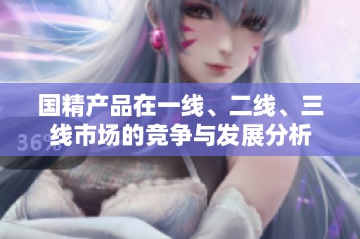 国精产品在一线、二线、三线市场的竞争与发展分析