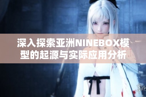 深入探索亚洲NINEBOX模型的起源与实际应用分析