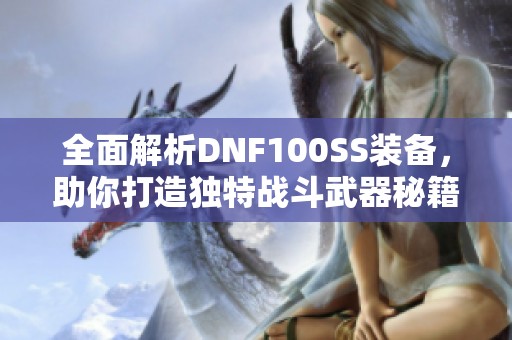 全面解析DNF100SS装备，助你打造独特战斗武器秘籍