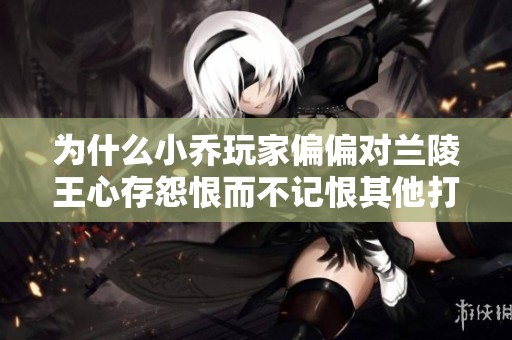 为什么小乔玩家偏偏对兰陵王心存怨恨而不记恨其他打野？