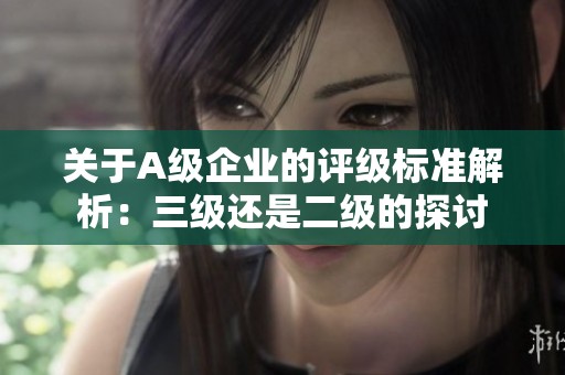 关于A级企业的评级标准解析：三级还是二级的探讨