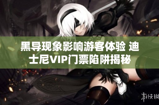 黑导现象影响游客体验 迪士尼VIP门票陷阱揭秘