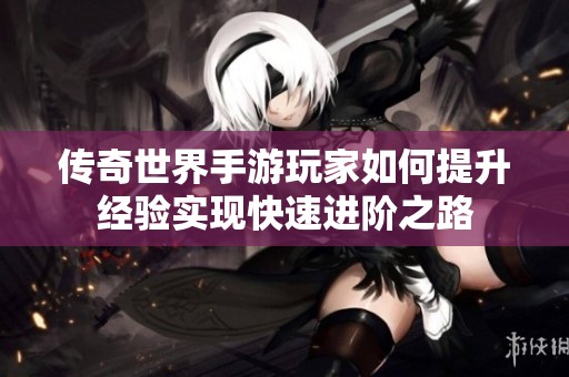 传奇世界手游玩家如何提升经验实现快速进阶之路