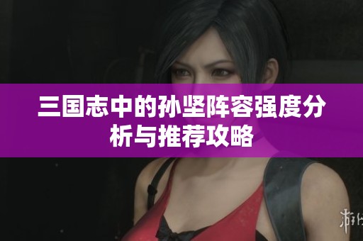 三国志中的孙坚阵容强度分析与推荐攻略
