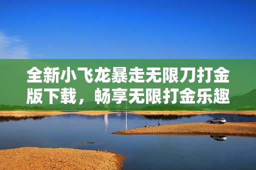 全新小飞龙暴走无限刀打金版下载，畅享无限打金乐趣