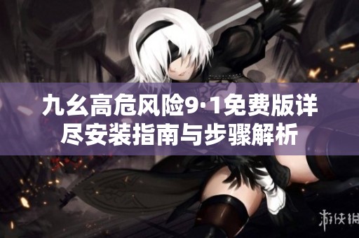 九幺高危风险9·1免费版详尽安装指南与步骤解析
