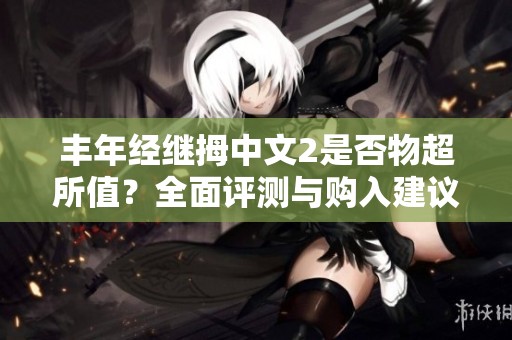 丰年经继拇中文2是否物超所值？全面评测与购入建议