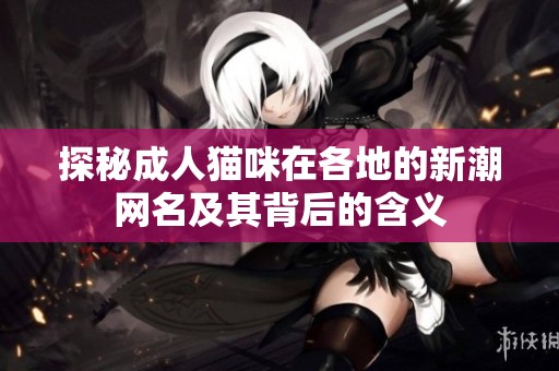 探秘成人猫咪在各地的新潮网名及其背后的含义