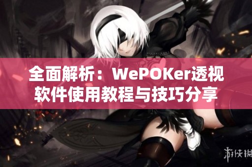 全面解析：WePOKer透视软件使用教程与技巧分享