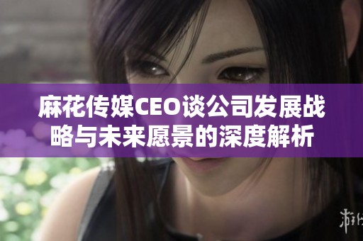 麻花传媒CEO谈公司发展战略与未来愿景的深度解析