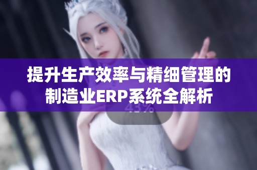 提升生产效率与精细管理的制造业ERP系统全解析