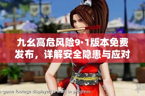 九幺高危风险9·1版本免费发布，详解安全隐患与应对策略