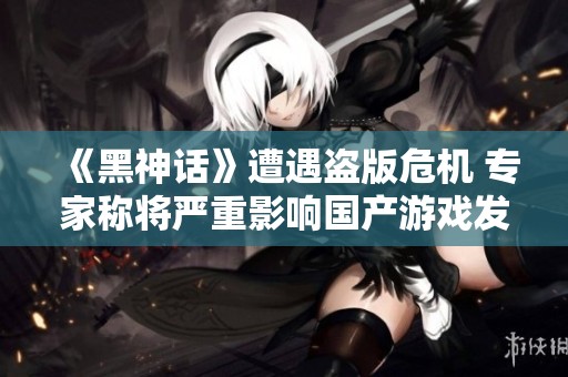 《黑神话》遭遇盗版危机 专家称将严重影响国产游戏发展