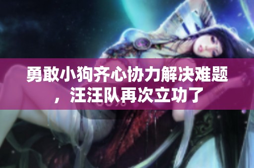 勇敢小狗齐心协力解决难题，汪汪队再次立功了