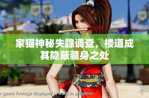 家猫神秘失踪调查，楼道成其隐蔽藏身之处