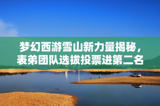 梦幻西游雪山新力量揭秘，表弟团队选拔投票进第二名！