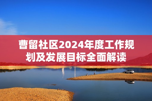 曹留社区2024年度工作规划及发展目标全面解读