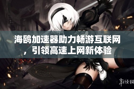 海鸥加速器助力畅游互联网，引领高速上网新体验