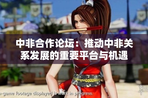 中非合作论坛：推动中非关系发展的重要平台与机遇