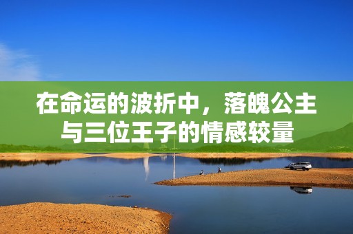在命运的波折中，落魄公主与三位王子的情感较量
